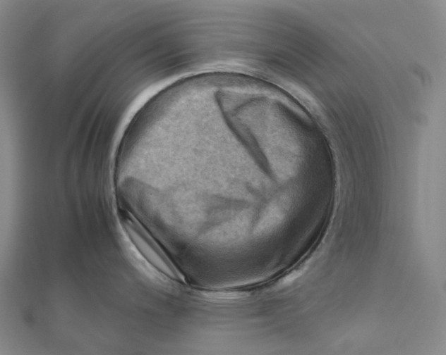 X0000112091200200909011058