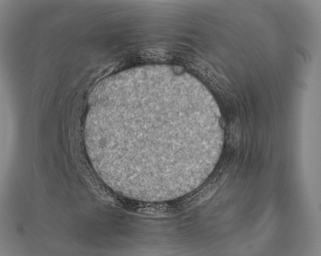 X0000112091201200909011057