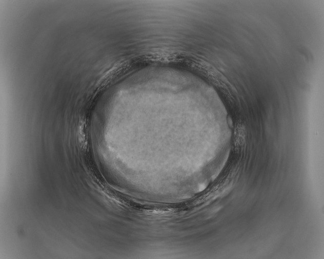 X0000112091202200909011057