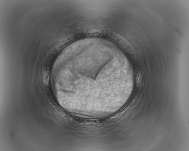 X0000112091204200909011057