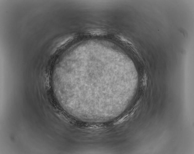 X0000112091205200909011057