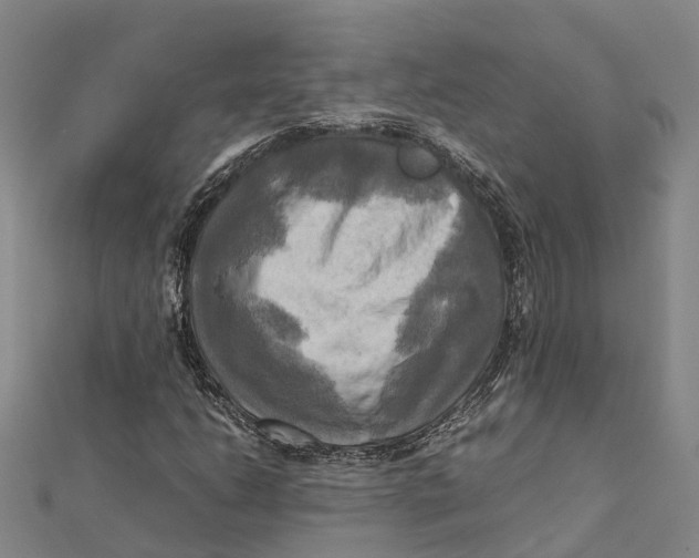 X0000112091206200909011057