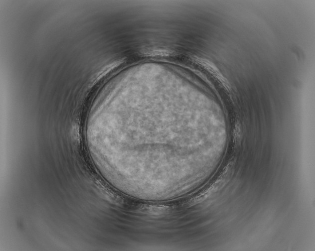 X0000112091209200909011057