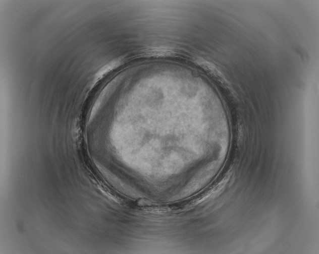 X0000112091210200909011057