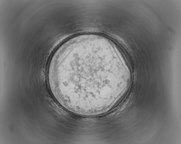 X0000112091212200909011057