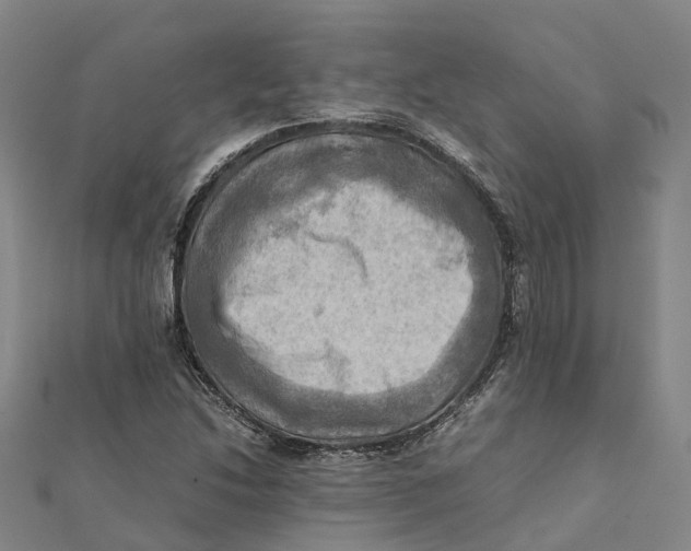 X0000112091214200909011057