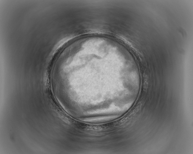 X0000112091215200909011057