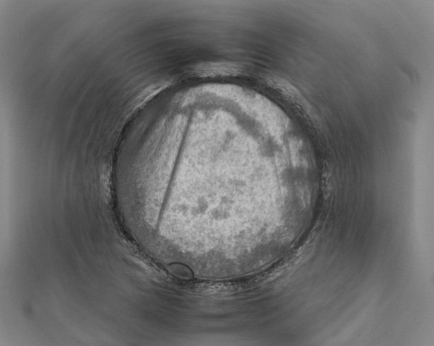 X0000112091217200909011057