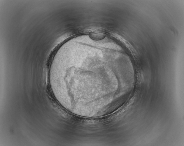 X0000112091219200909011057