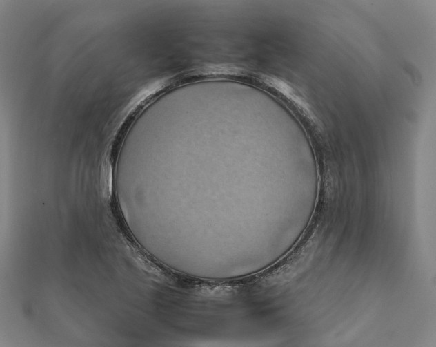 X0000112091221200909011057