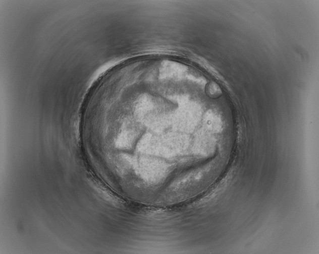 X0000112091222200909011057