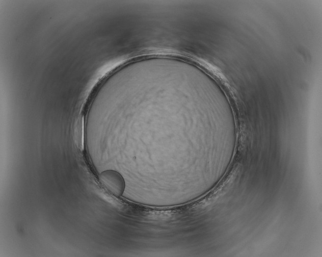 X0000112091223200909011057