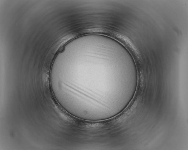 X0000112091225200909011057