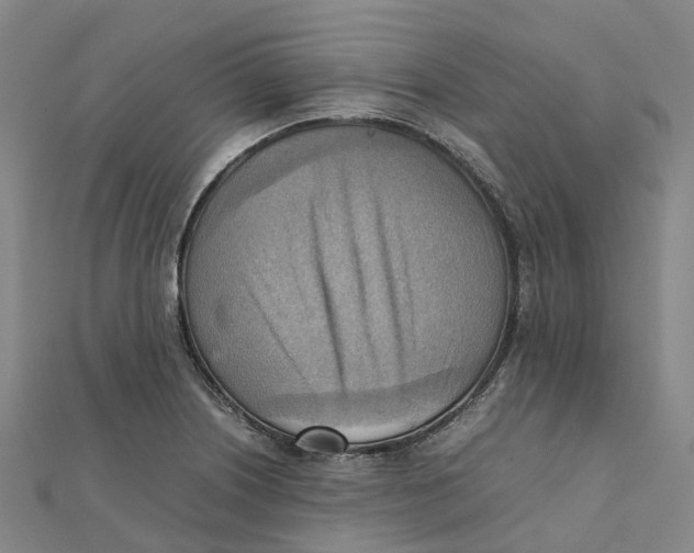 X0000112091226200909011057