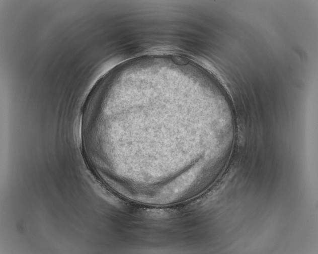 X0000112091227200909011057