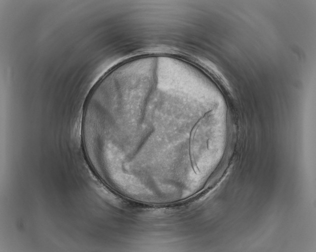 X0000112091228200909011057