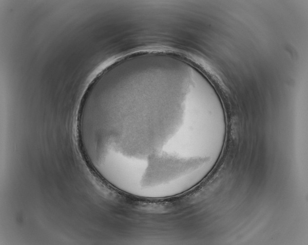 X0000112091229200909011057