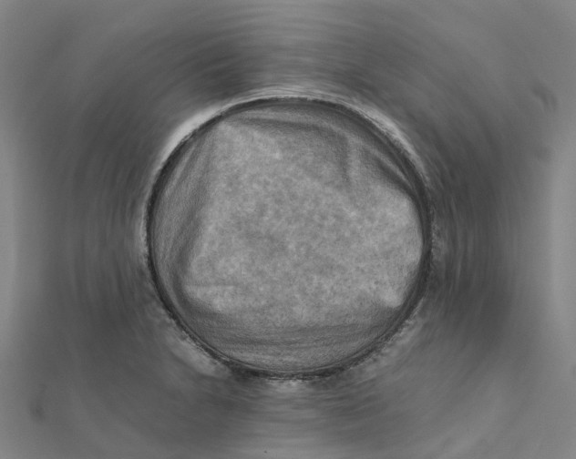 X0000112091230200909011057