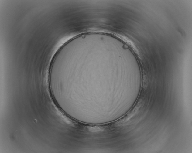 X0000112091231200909011057