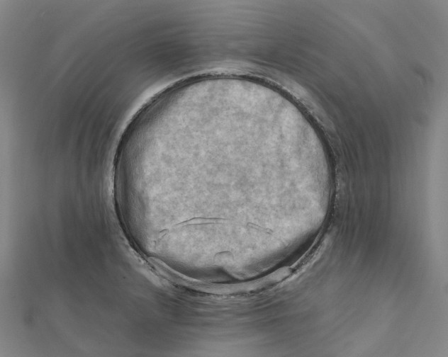 X0000112091232200909011057
