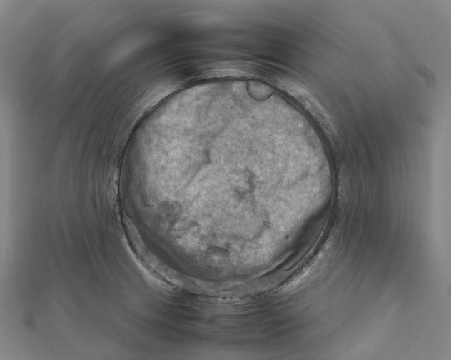 X0000112091233200909011057
