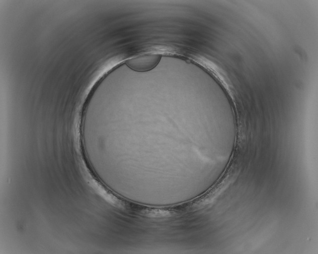 X0000112091235200909011057