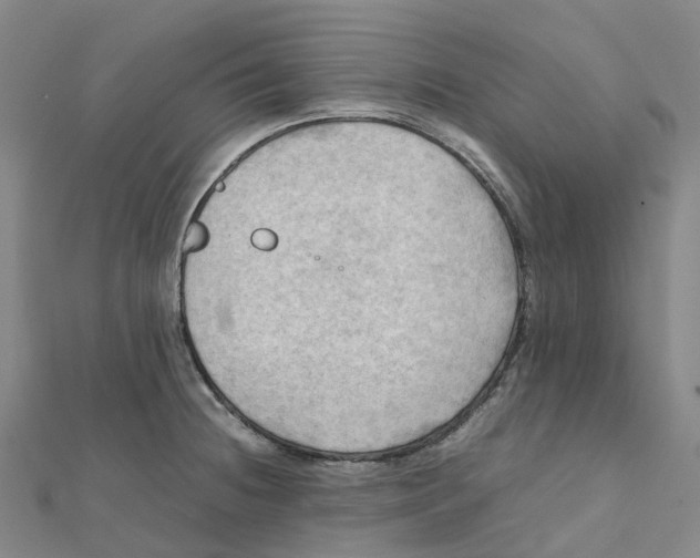 X0000112091236200909011057