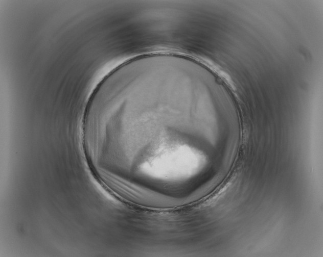 X0000112091239200909011058