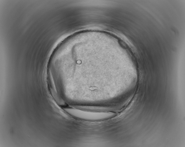 X0000112091240200909011058