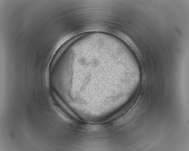 X0000112091242200909011058