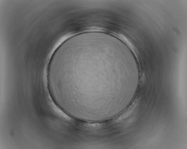 X0000112091243200909011058