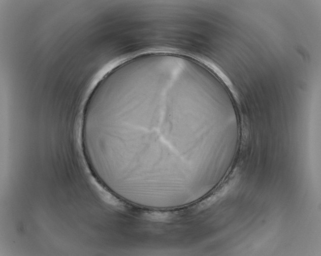X0000112091245200909011058