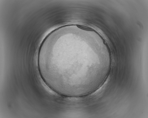 X0000112091246200909011058