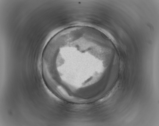 X0000112091247200909011058