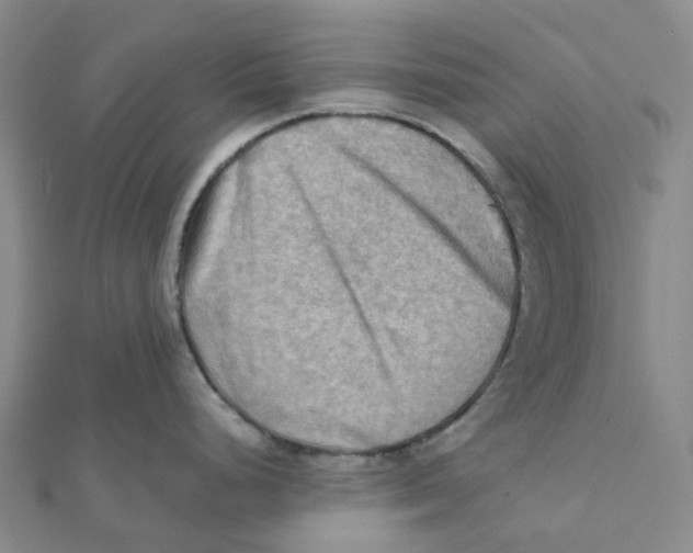 X0000112091248200909011058