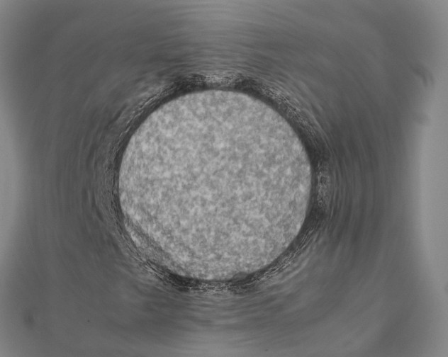 X0000112091249200909011057