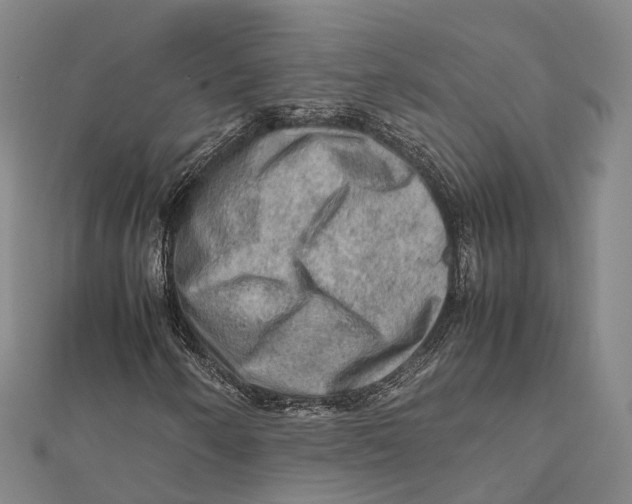 X0000112091250200909011057