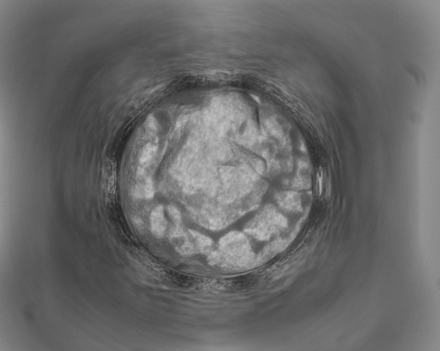X0000112091251200909011057