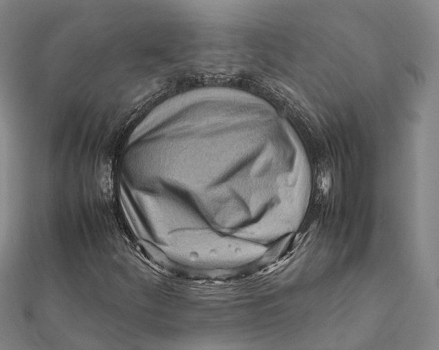 X0000112091252200909011057
