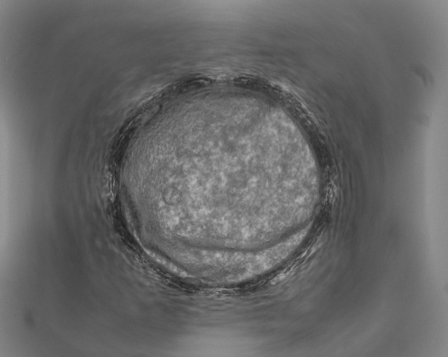 X0000112091253200909011057