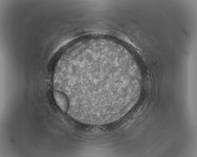 X0000112091255200909011057