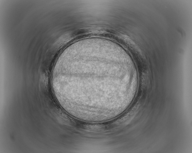X0000112091257200909011057
