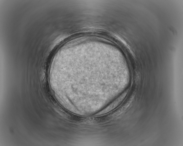X0000112091259200909011057