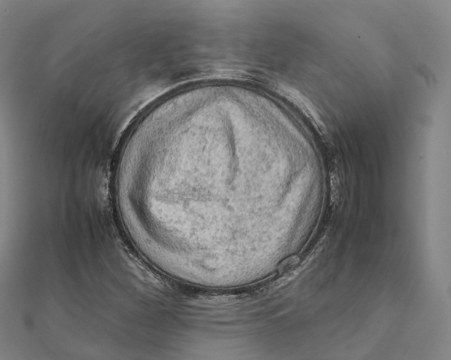 X0000112091260200909011057