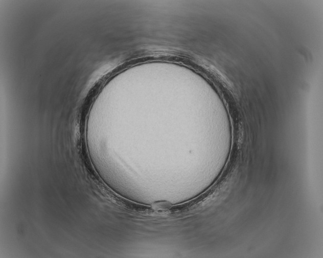 X0000112091261200909011057