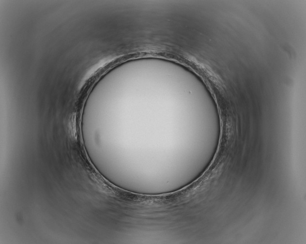 X0000112091262200909011057
