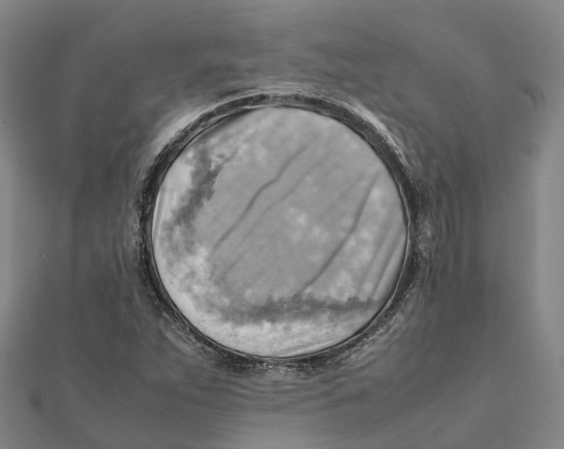X0000112091263200909011057