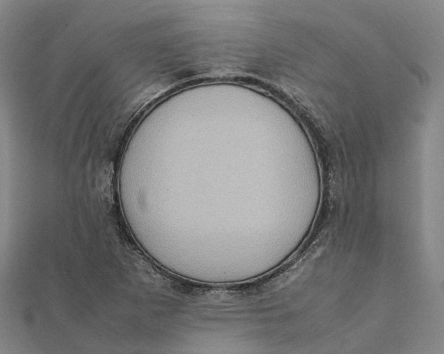 X0000112091265200909011057