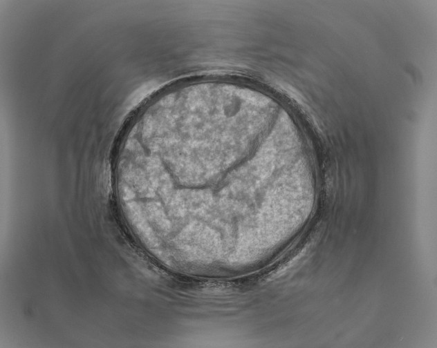 X0000112091267200909011057