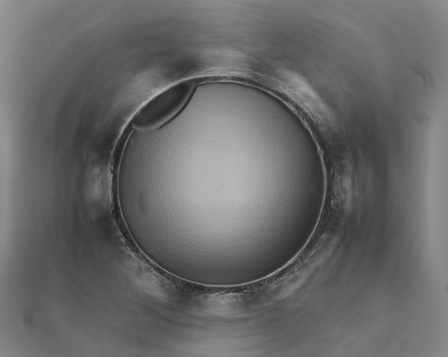 X0000112091268200909011057